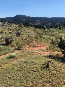 66 Acres Bordering BLM on County Road Canon City Colorado - image 8