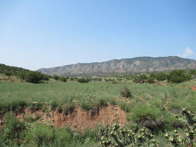 66 Acres Bordering BLM on County Road Canon City Colorado - image 24