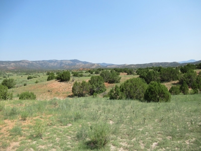 66 Acres Bordering BLM on County Road Canon City Colorado - image 22