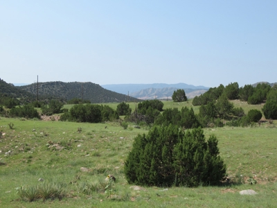 66 Acres Bordering BLM on County Road Canon City Colorado - image 17