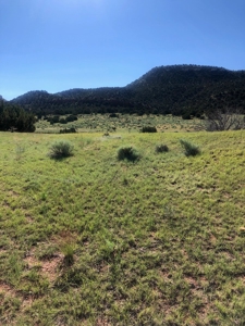 66 Acres Bordering BLM on County Road Canon City Colorado - image 4