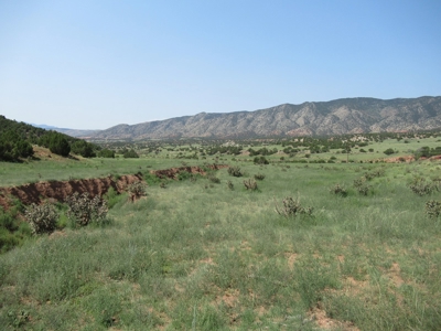 66 Acres Bordering BLM on County Road Canon City Colorado - image 28