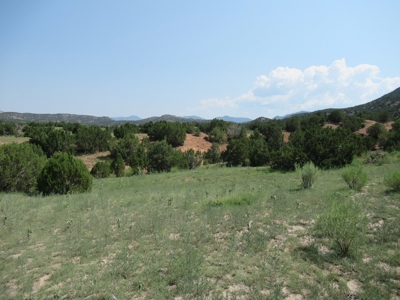 66 Acres Bordering BLM on County Road Canon City Colorado - image 21