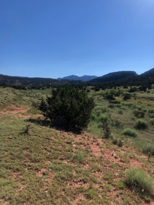 66 Acres Bordering BLM on County Road Canon City Colorado - image 6