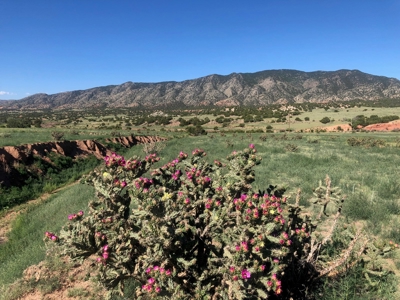 66 Acres Bordering BLM on County Road Canon City Colorado - image 3