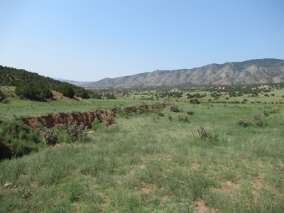 66 Acres Bordering BLM on County Road Canon City Colorado - image 26