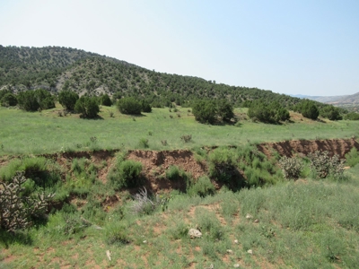 66 Acres Bordering BLM on County Road Canon City Colorado - image 25