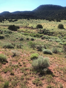 66 Acres Bordering BLM on County Road Canon City Colorado - image 5