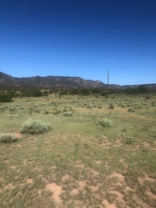 66 Acres Bordering BLM on County Road Canon City Colorado - image 14