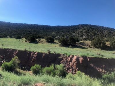 66 Acres Bordering BLM on County Road Canon City Colorado - image 2