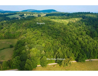 Wooded Property for Sale Near the Blue Ridge Parkway - image 9