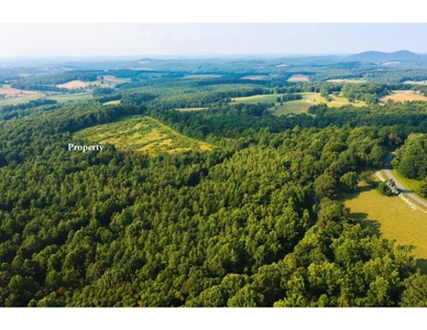 Wooded Property for Sale Near the Blue Ridge Parkway - image 10