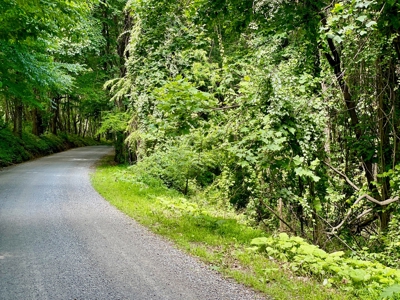 Wooded Property for Sale Near the Blue Ridge Parkway - image 7