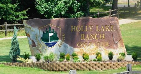 Golf Course Home Holly Lake Ranch Texas - Gated Community - image 43