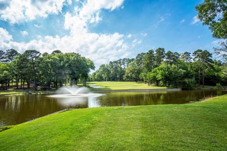 Golf Course Home Holly Lake Ranch Texas - Gated Community - image 45