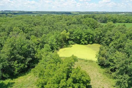 Acreage with Ponds and Timber on Paved Road in Southern Iowa - image 8