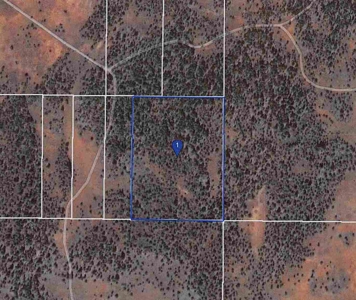 30 +/- acres, borders US Forest Service - image 4