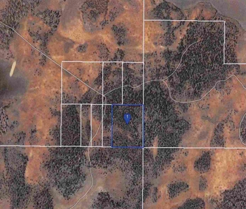 30 +/- acres, borders US Forest Service - image 5