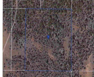 30 +/- acres, borders US Forest Service - image 1