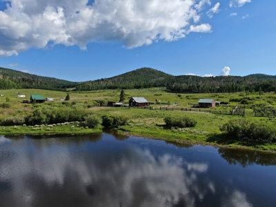 Colorado outfitting business for sale with mountain cabin - image 3