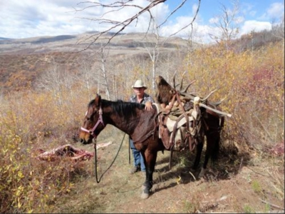 Colorado outfitting business for sale with mountain cabin - image 14