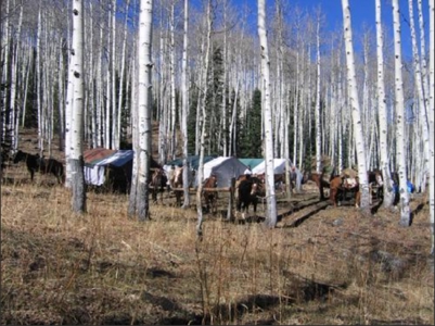 Colorado outfitting business for sale with mountain cabin - image 11