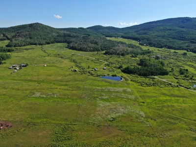 Colorado outfitting business for sale with mountain cabin - image 5