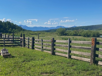 Colorado outfitting business for sale with mountain cabin - image 2