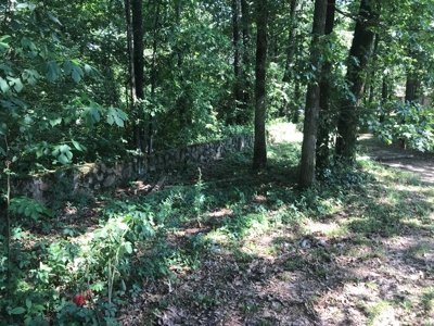 Home minutes from Greers Ferry Lake in Clinton Arkansas - image 8