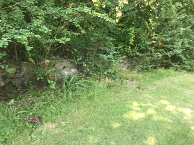 Home minutes from Greers Ferry Lake in Clinton Arkansas - image 6