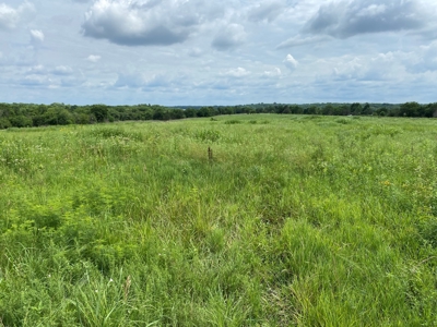 (Price Reduced) Land For Sale in Osage County Kansas - image 15