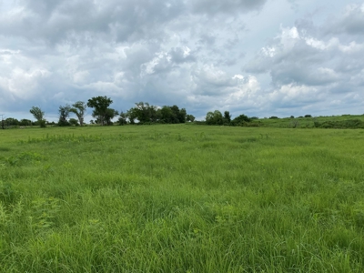 (Price Reduced) Land For Sale in Osage County Kansas - image 6