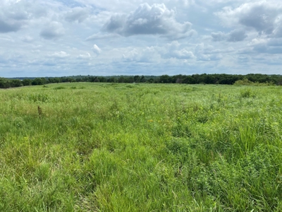 (Price Reduced) Land For Sale in Osage County Kansas - image 3