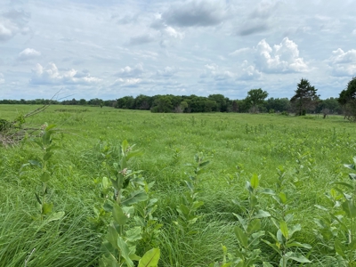(Price Reduced) Land For Sale in Osage County Kansas - image 7