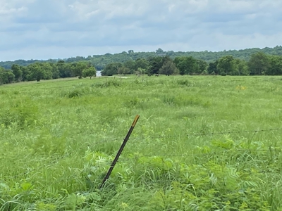 (Price Reduced) Land For Sale in Osage County Kansas - image 9