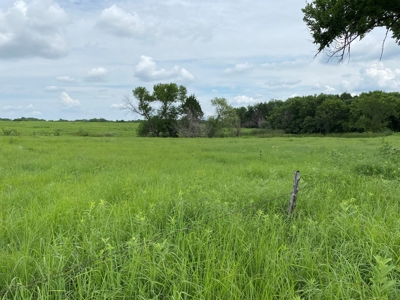 (Price Reduced) Land For Sale in Osage County Kansas - image 4