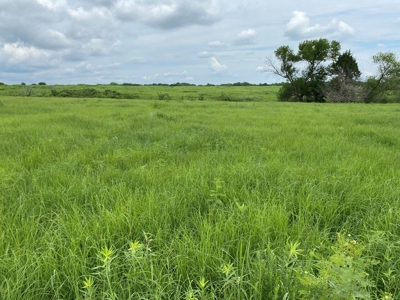 (Price Reduced) Land For Sale in Osage County Kansas - image 5
