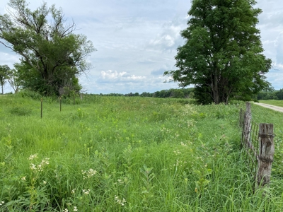 (Price Reduced) Land For Sale in Osage County Kansas - image 11