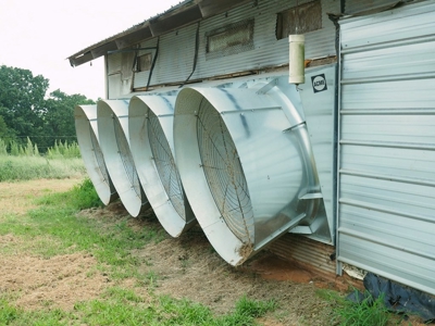 12 House Broiler Poultry Farm 120 Acres for Sale Central MS - image 15