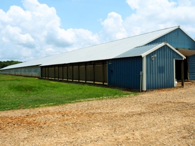 12 House Broiler Poultry Farm 120 Acres for Sale Central MS - image 4