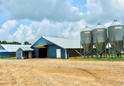 12 House Broiler Poultry Farm 120 Acres for Sale Central MS - image 2