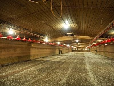 12 House Broiler Poultry Farm 120 Acres for Sale Central MS - image 8