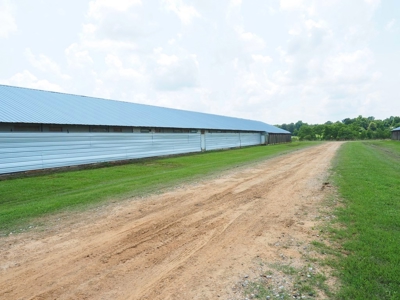 12 House Broiler Poultry Farm 120 Acres for Sale Central MS - image 23