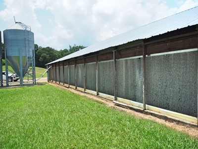 12 House Broiler Poultry Farm 120 Acres for Sale Central MS - image 5