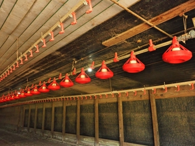 12 House Broiler Poultry Farm 120 Acres for Sale Central MS - image 10