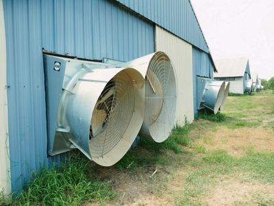 12 House Broiler Poultry Farm 120 Acres for Sale Central MS - image 14