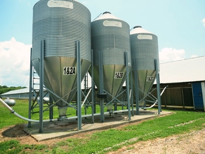 12 House Broiler Poultry Farm 120 Acres for Sale Central MS - image 22