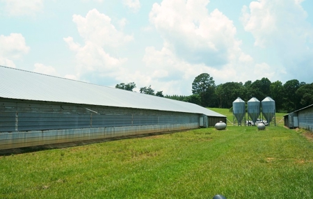 12 House Broiler Poultry Farm 120 Acres for Sale Central MS - image 25