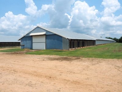 12 House Broiler Poultry Farm 120 Acres for Sale Central MS - image 19