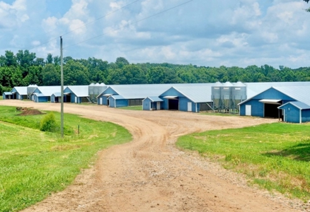 12 House Broiler Poultry Farm 120 Acres for Sale Central MS - image 40